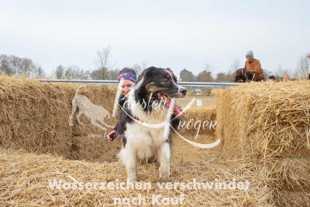 0838_ZZ93871 | kk-dogfotos