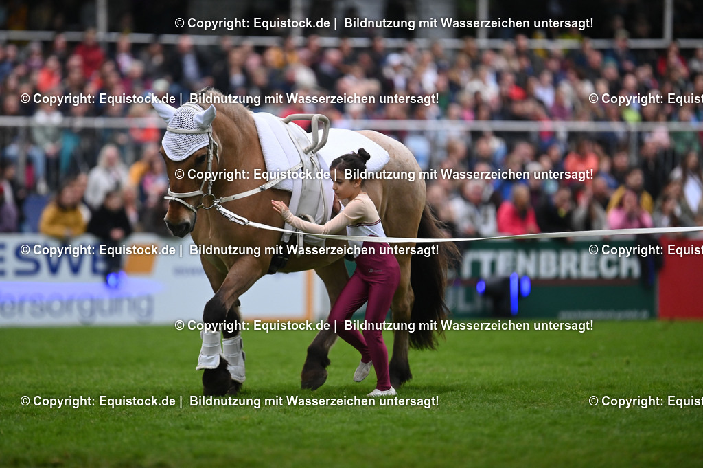 20240517_Lange-Pferdenacht_0309 | Foto: Thomas Hartig