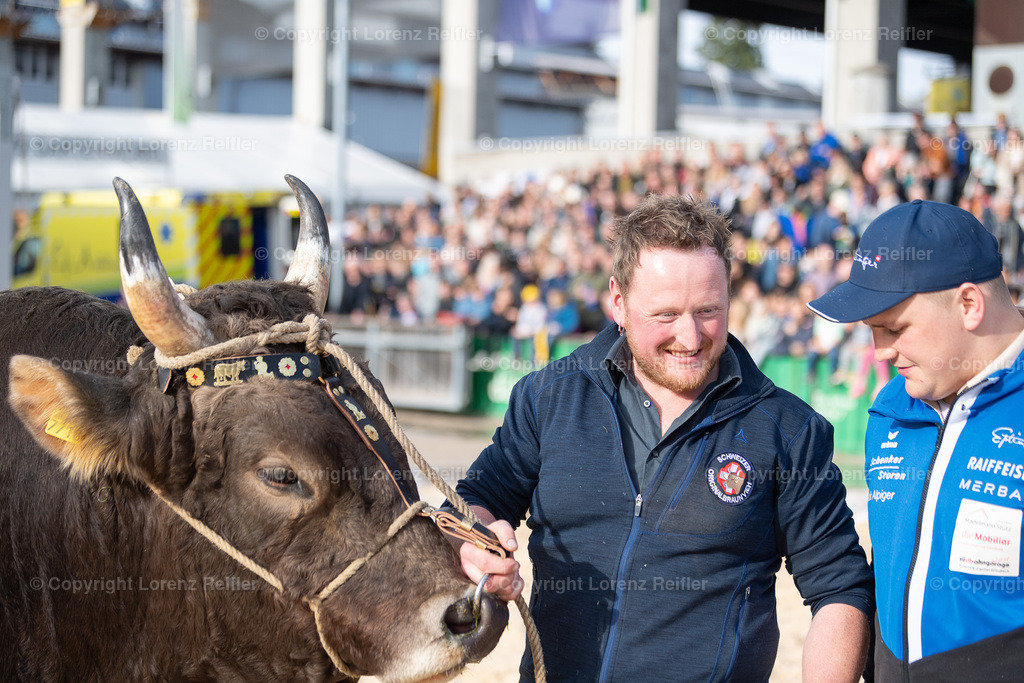 Schwingen -  12. OLMA-Schwinget 2024 | St.Gallen, 20.10.24, Schwingen - 12. OLMA-Schwinget.