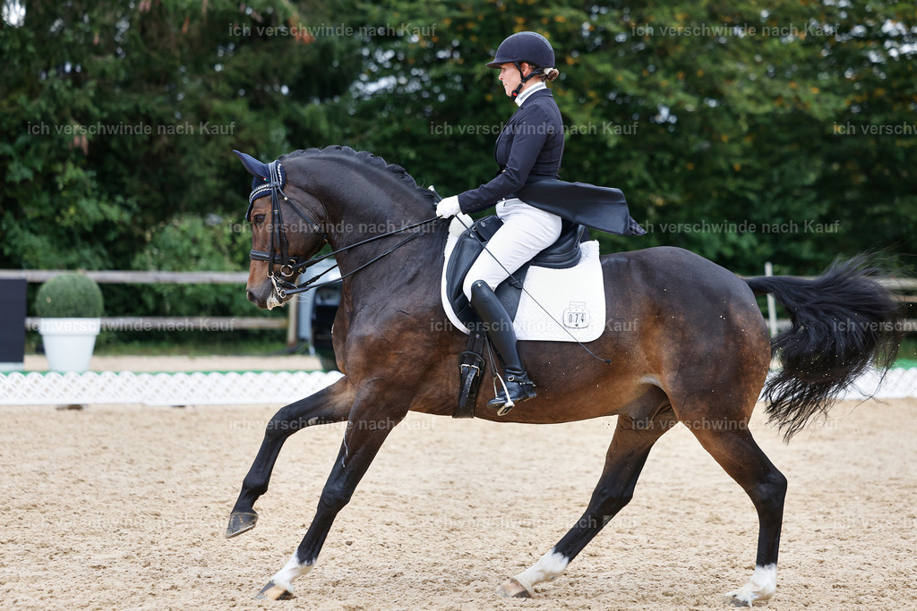 12-074-DRESSUR  S___  -StoibPH-5354 | working equitationturnier fotograf videograf stoibphotography marixx film working equitation deutschland reitsport turnierfotografie eventfotografie equestrian events