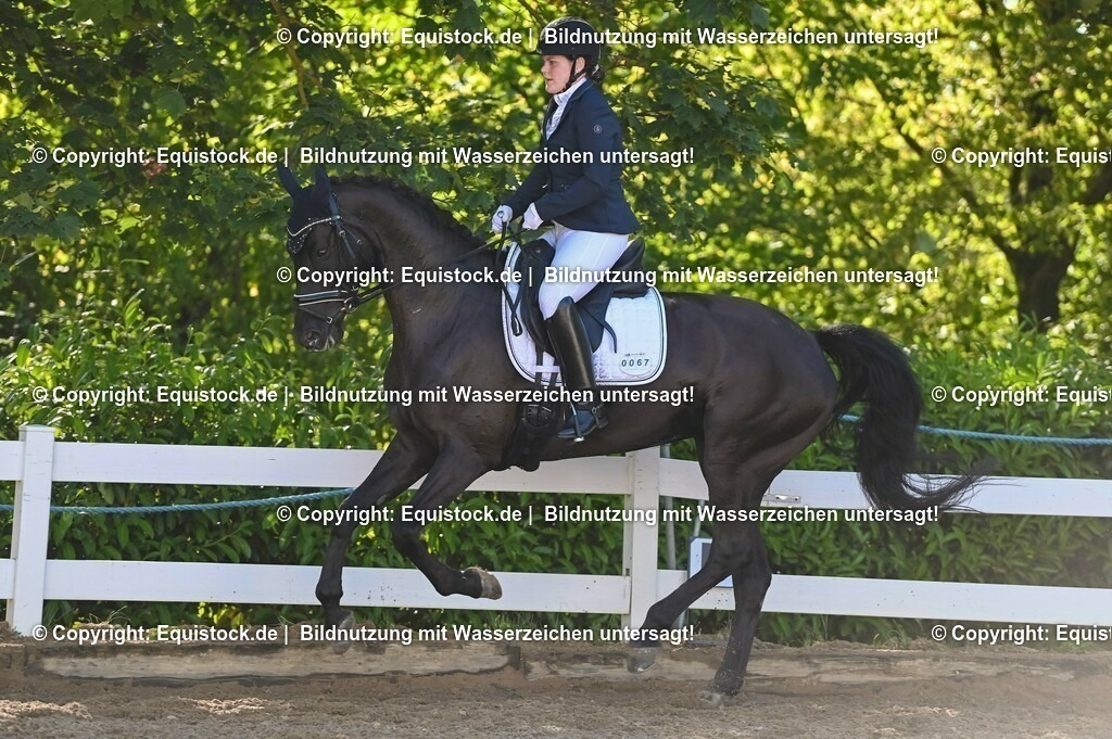 20230715_06_Dressurpferdeprfg. Kl.A_0186 | equistock
