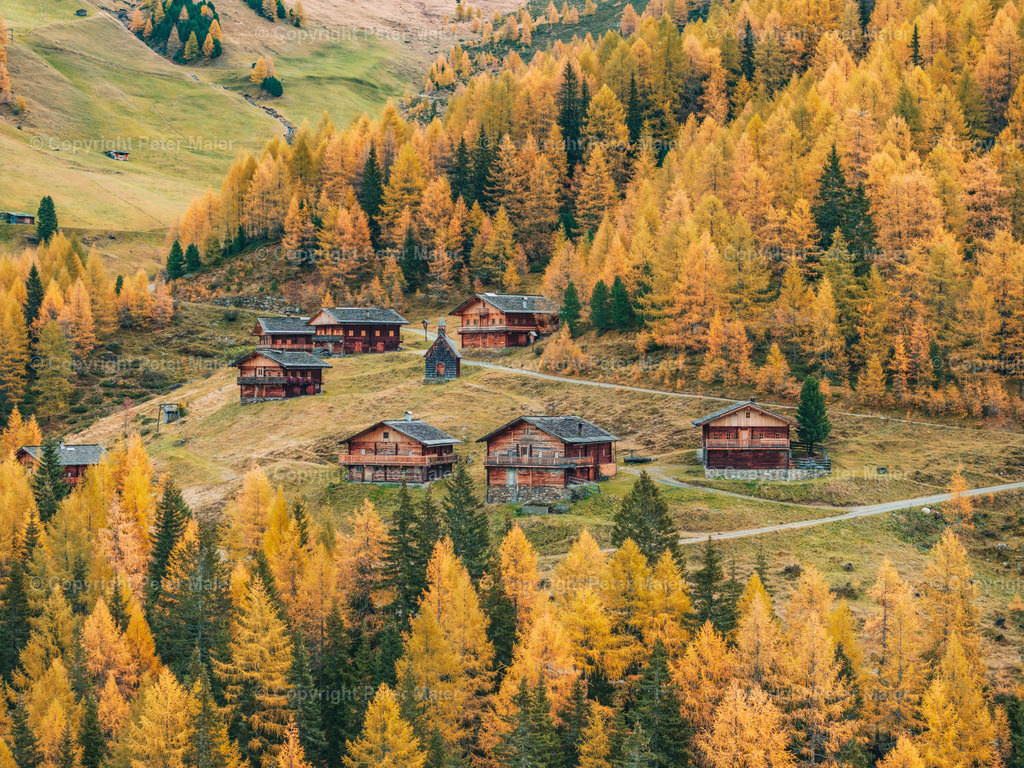 Kamelisenalm_Herbst_2023-7 | default