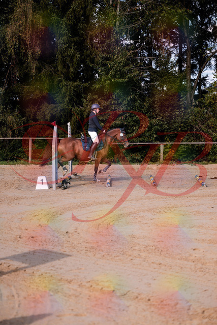 2026_10_03_Siefer-Hof_145626_Z81_37345811 | Professionelle Reitsport-, Turnier- und Eventfotografie von Robert Broda. Galerien mit ausgewählten und bearbeiteten Bildern direkt online ansehen und bestellen.