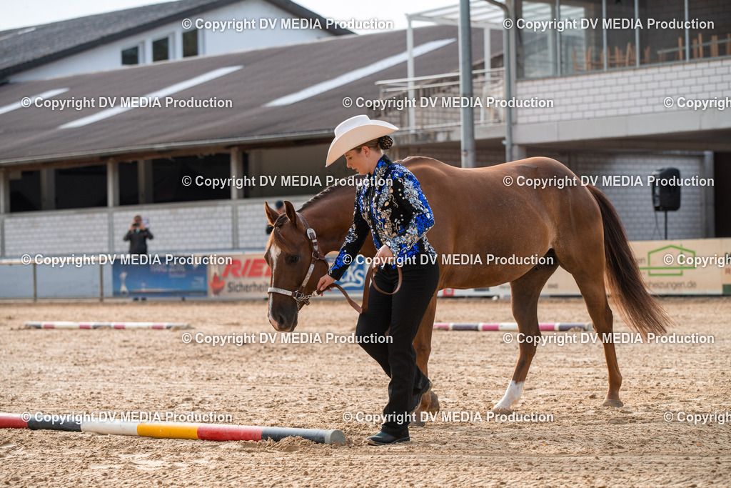 EWP_5582 | dv-media-shop - Realisiert mit Pictrs.com