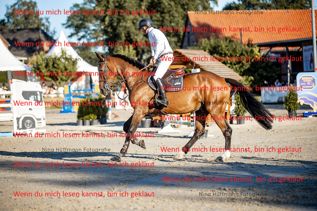 BK1A8487 | Turnierbilder Turnierfotos Nina Hüffmann Turnierfotografie Pferdefotografie Tierzeichnung Haustierzeichnung Pferdezeichnung Hundezeichnung Videograf  - Realisiert mit Pictrs.com
