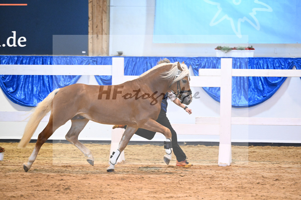 Kat-Nr. 28 Napoleon v. Nakuri_Lechner_60220446 | hf-fotografie - Realisiert mit Pictrs.com
