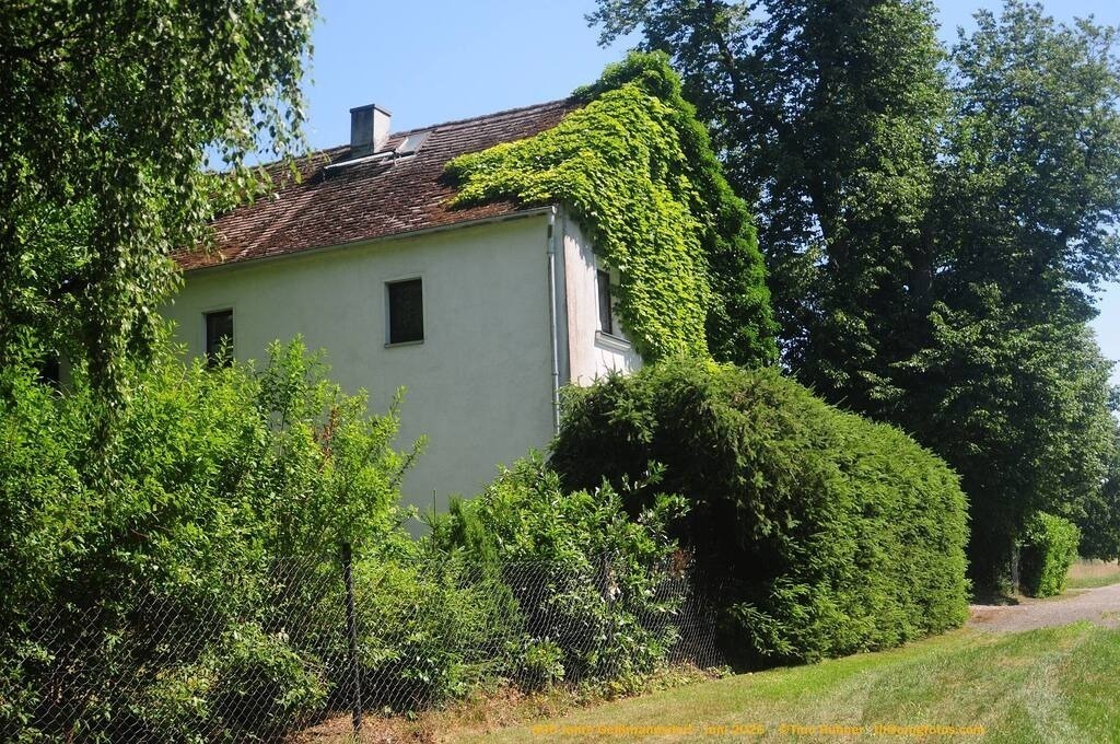 Geißmannsdorf-2026-Ortsbilder-631 | Geißmannsdorf bei Bischofswerda im Sommer 2026. Ein fotografischer Streifzug durch das Dorf Geißmannsdorf, mit Gebäuden, Straßen, Strohpuppen und geschmückten Vorgärten und Grundstücken anlässlich der 800-Jahr-Feier von Geißmannsdorf im Juni 2026 - Realisiert mit Pictrs.com