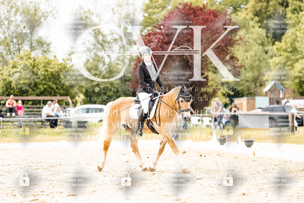 CK902947 | Turnierfotografie Pferdefotografie Trier Rheinland-Pfalz Pferdesport Reitsport Tierfotografie Sportfotografie Pferdevideo Pferdevideografie Equestrianvideography equestrianphotography  - Realisiert mit Pictrs.com