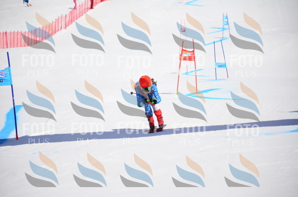 VR4_9839 | holidayphoto