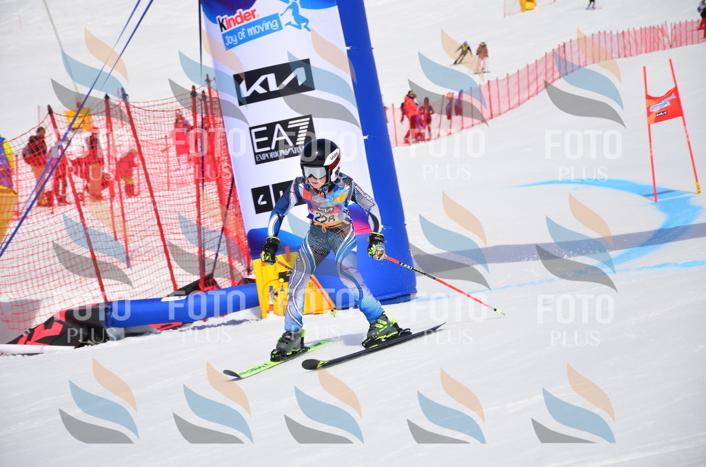 VR4_7288 | holidayphoto