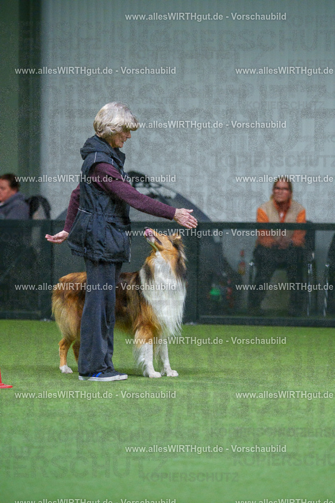 7R502154 | Professionelle Tierfotografie in Mönchengladbach von Daniel Wirth (allesWIRTHgut). Liebevolle & natürliche Bilder von Hunden & Katzen für unvergessliche Erinnerungen.