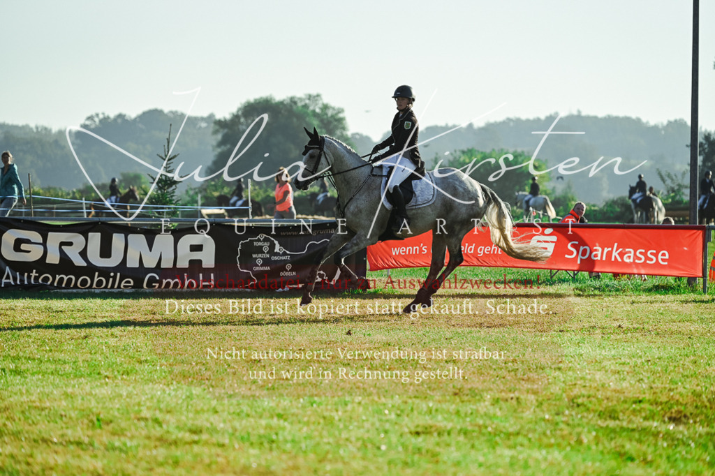 DSC_4242 | Pferde- und Turnierfotografie in Westsachsen. Pferdeportraits, Auftragszeichnungen und intuitive Kunst.