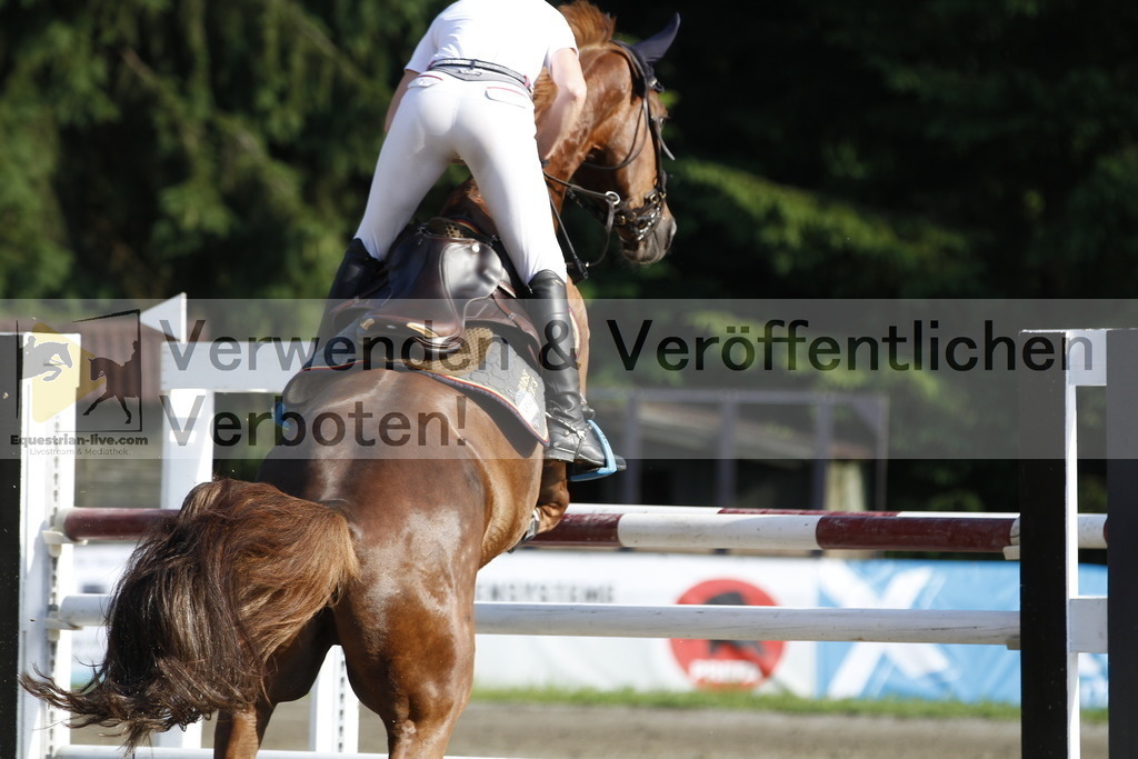 _MG_1256 | equestrian-live-com