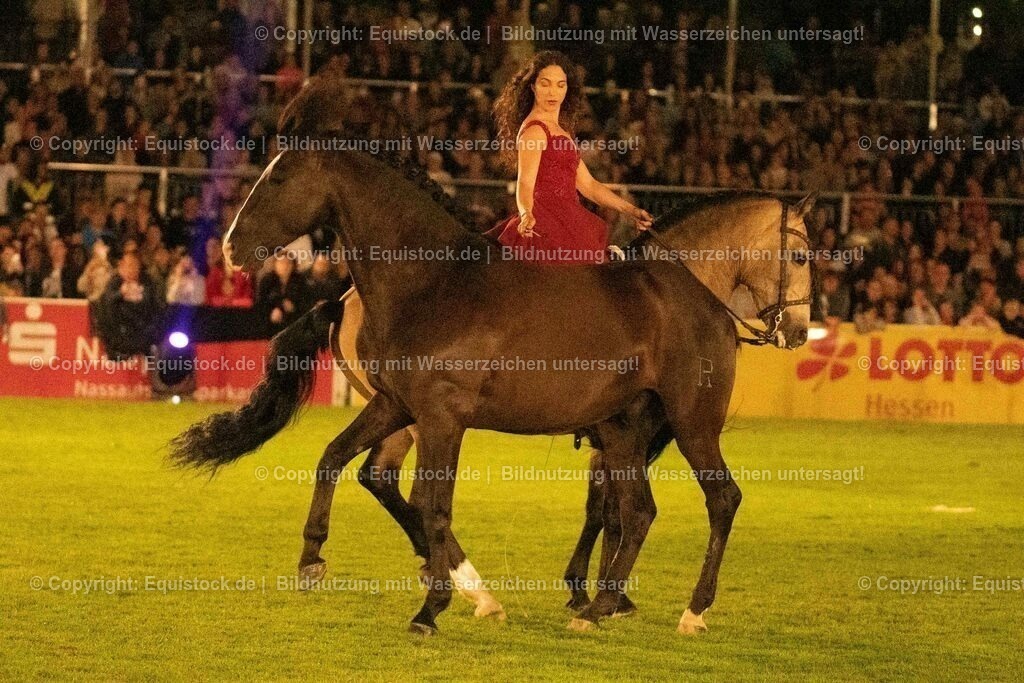 20230526_Pferdenacht_1422 | equistock