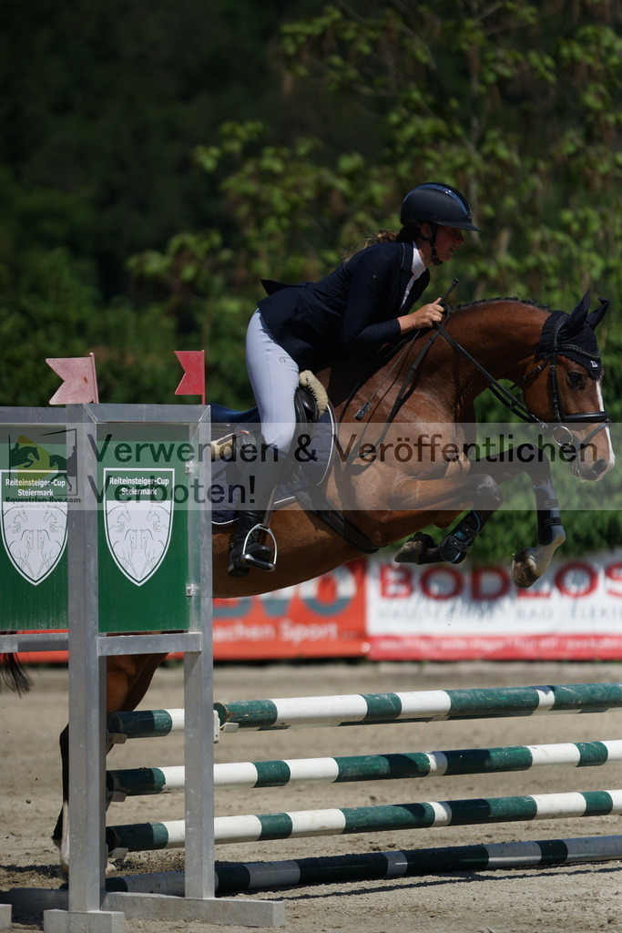 DSC06279 | equestrian-live-com