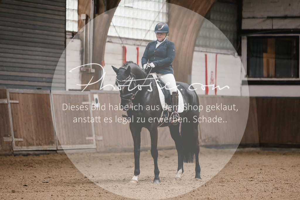 3I6A7119 | Stimmungsvolle Portraits und Reitsportfotografie im Ruhrgebiet und im Münsterland.

Pferdefotografie, Hundefotografie, Tierfotografie, Reportagen, Portraits von Tier und Mensch, Turnierfotografie in Bochum, Recklinghausen, Marl, Haltern am See, Dülmen.. - Realisiert mit Pictrs.com