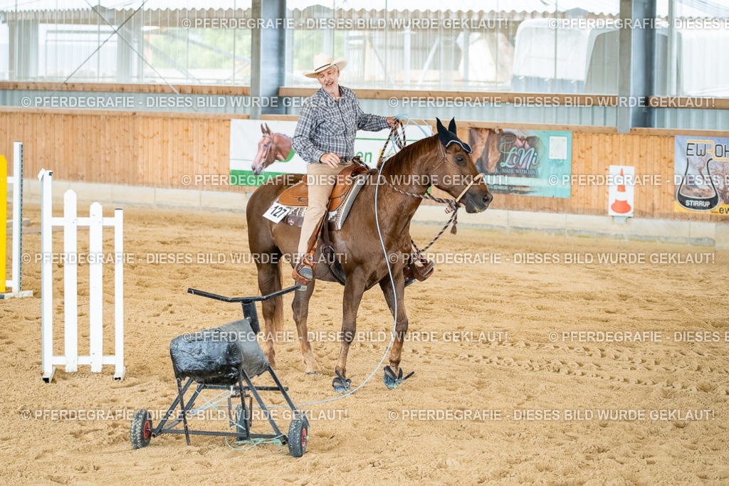 DSC07063 | Pferdegrafie