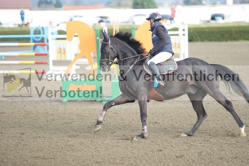 DSC01831 | equestrian-live-com