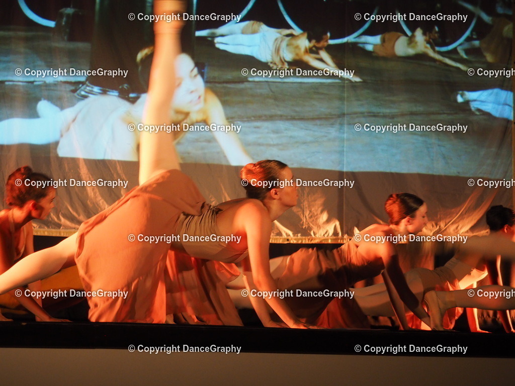 P1010982 | DanceGraphy - Realisiert mit Pictrs.com