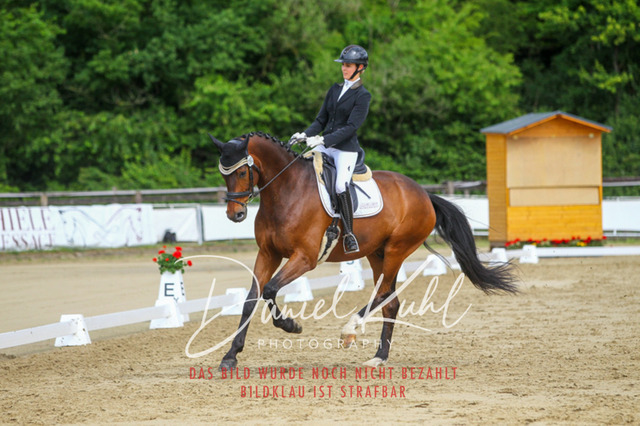 DKP45641 | Turniersportfotografie; Pferdefotografie; Dressurfotografie