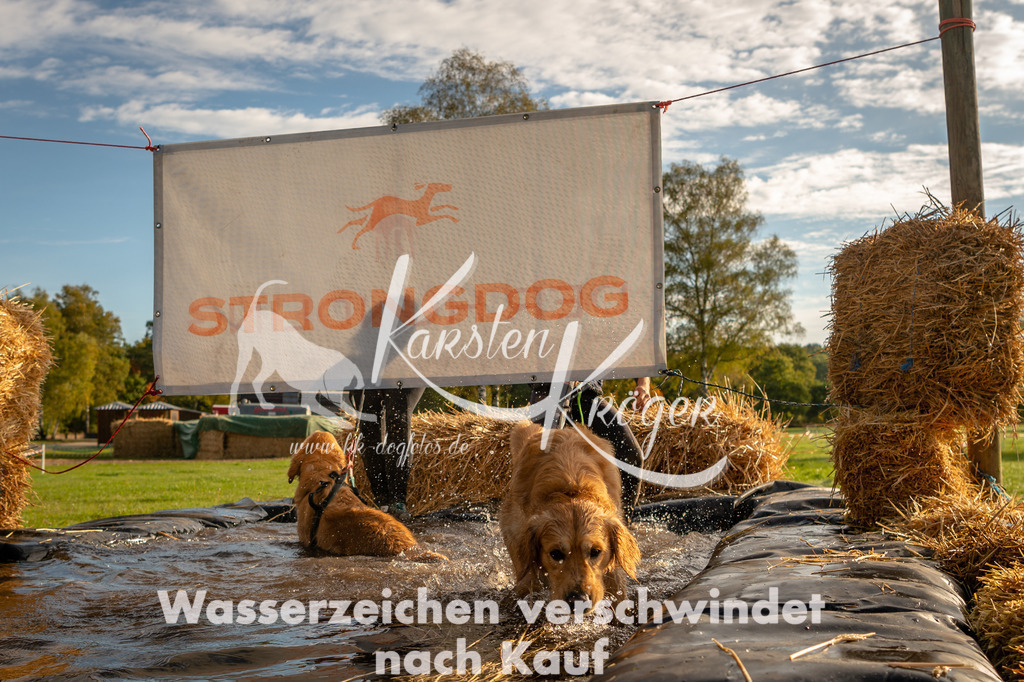 1011STR_2170 | kk-dogfotos