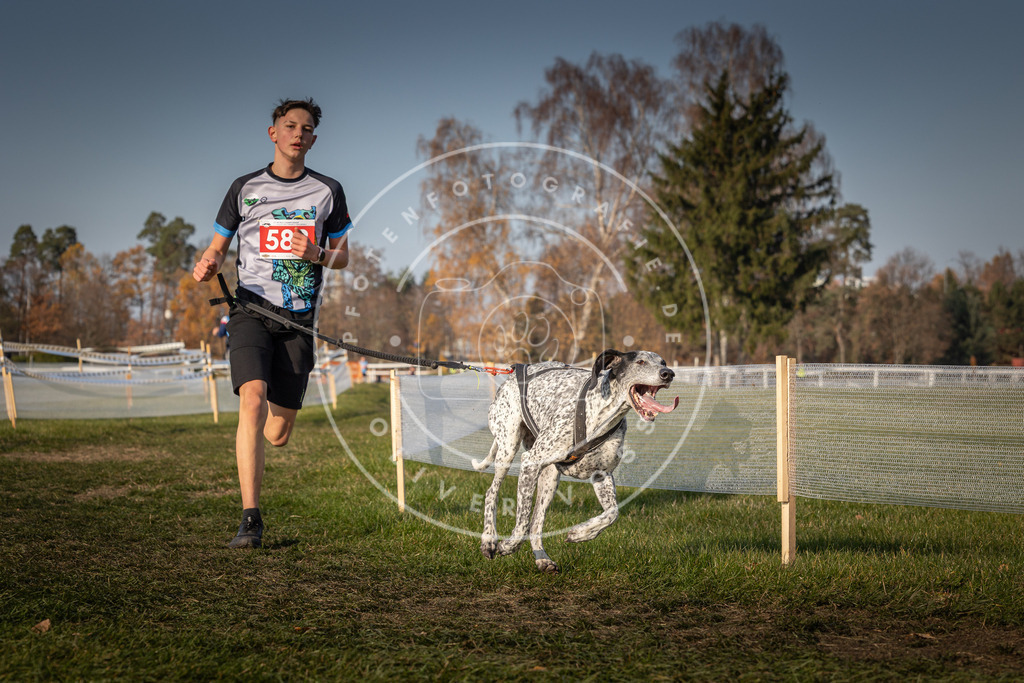 CaniXpix_0L8A9604 | Hundefotografie, Tierfotograf, Pfotenfotografie, Fotoshooting Hund, Hunde Portrait, Hundesport, Hundeportraits, Heideshooting, Hunde, Sportfotograf, Hundefotograf, Turnierhundsport, THS,  - Realisiert mit Pictrs.com