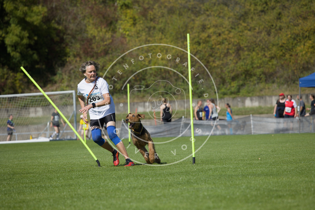 0L8A6489 | Hundefotografie, Tierfotograf, Pfotenfotografie, Fotoshooting Hund, Hunde Portrait, Hundesport, Hundeportraits, Heideshooting, Hunde, Sportfotograf, Hundefotograf, Turnierhundsport, THS,  - Realisiert mit Pictrs.com