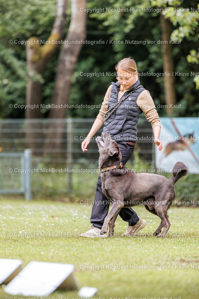 RO-Blumenthal-2026-Nickbest-Hundefotografie-2998 | Dein Hund! Dein Moment! Deine Erinnerungen! Hundefotografie in Bremen Blumenthal. Ich fange die besonderen Momente deines Vierbeiners ein – ob Indoor mit Blitzanlage oder in der freien Natur. Sicher dir dein Moment und dein Termin für eure Erinnerungen.