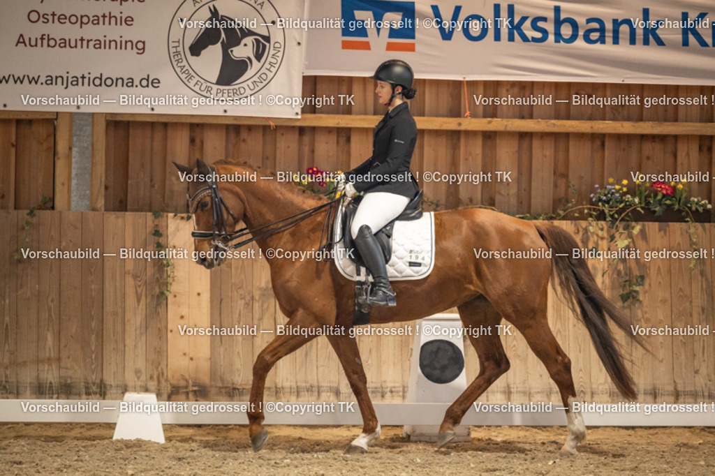 _D5A9706 | Emotionale Pferde- & People-Fotografie rund um Heidelberg, Leimen & Umgebung. Natürliche Fotos von Pferd, Mensch & Familie. Jetzt Termin sichern!