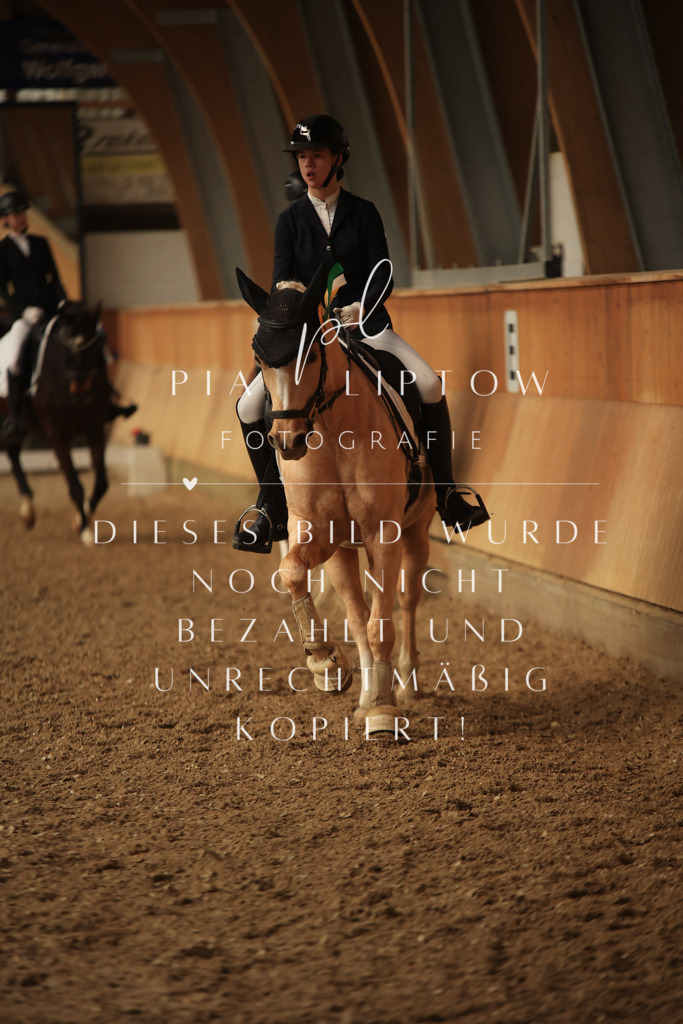 IMGT5622 | pl-fotografie