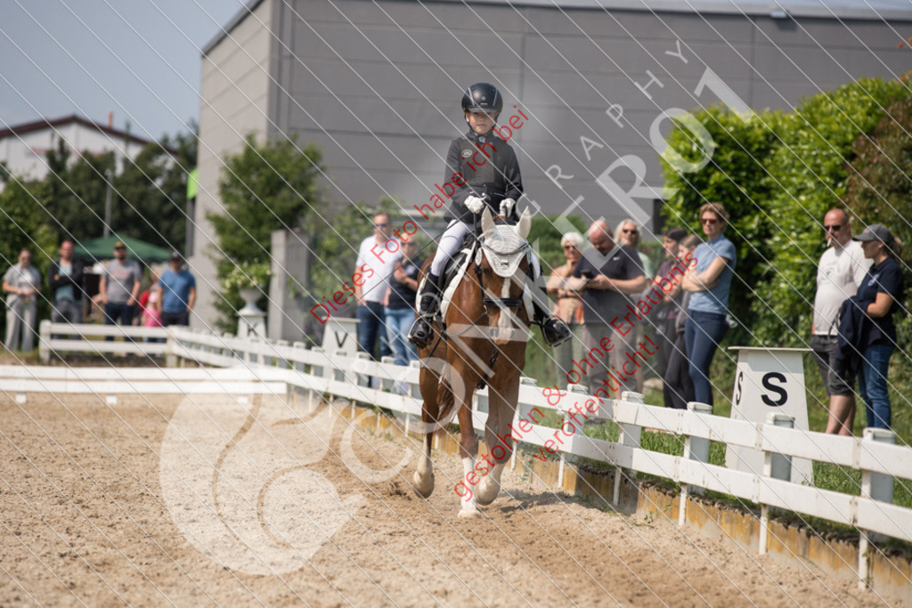 IMG_3350 | Sport-, Event- und Tierfotos in Profiqualität. Einfach auswählen, bestellen und herunterladen. Dein Moment – perfekt festgehalten.