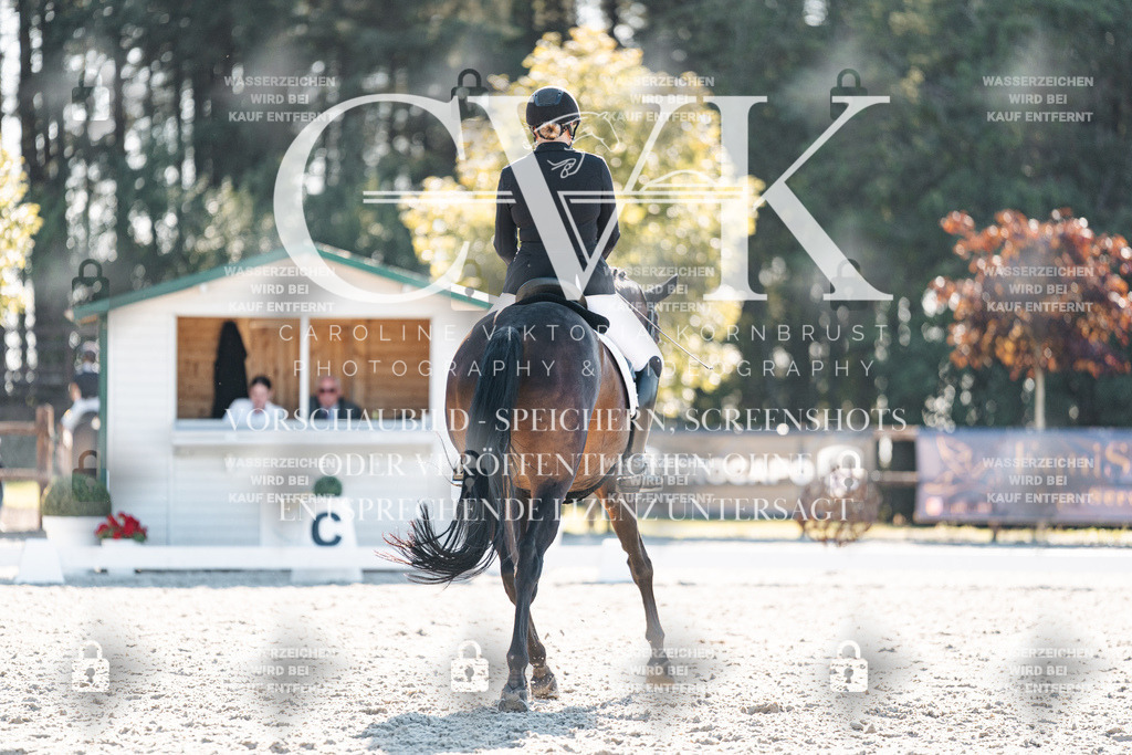 CK906331 | Turnierfotografie Pferdefotografie Trier Rheinland-Pfalz Pferdesport Reitsport Tierfotografie Sportfotografie Pferdevideo Pferdevideografie Equestrianvideography equestrianphotography  - Realisiert mit Pictrs.com