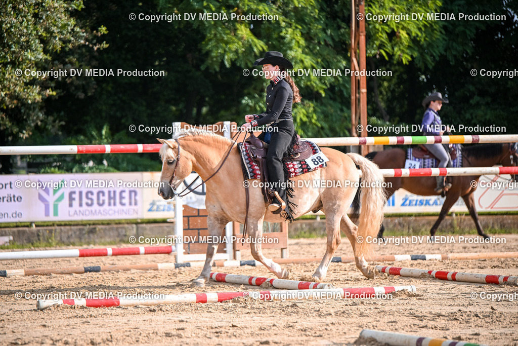 ZS1_3317 | dv-media-shop - Realisiert mit Pictrs.com