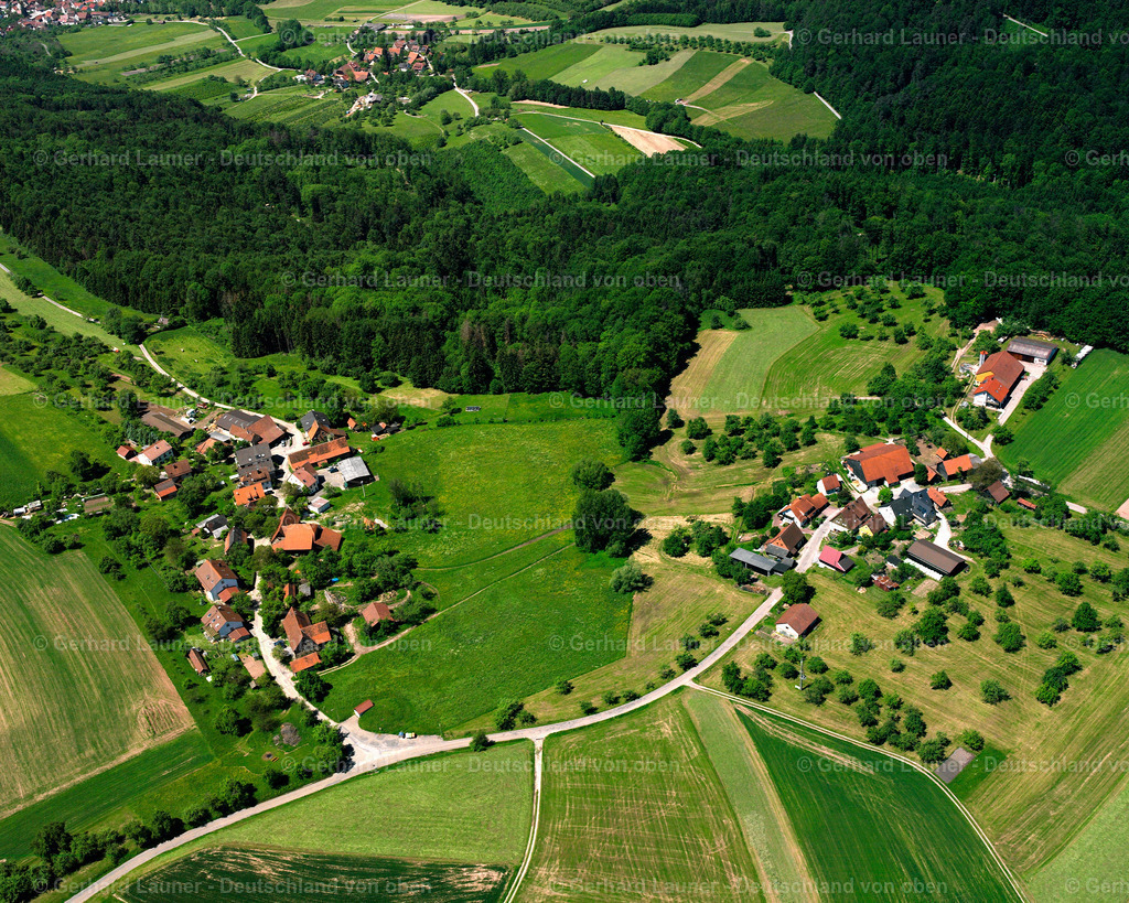 2507197 | Rottmannsberg, Auenwald