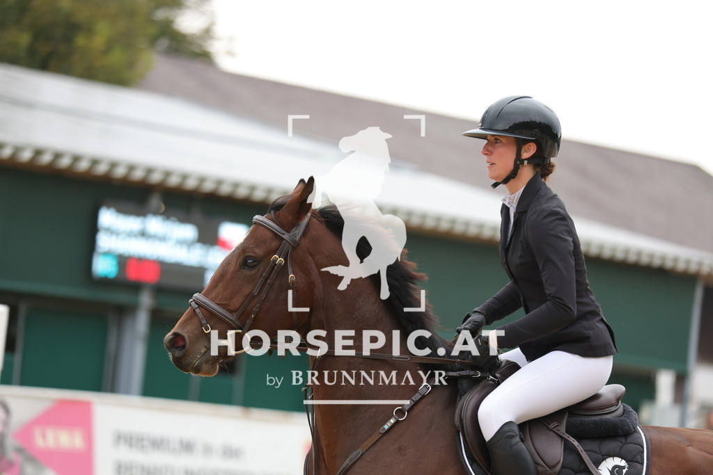 0P6A5539 | Willkommen bei Brunnmayr - Design & Fotografie – Ihrem Spezialisten für Reitturniere und Pferdeveranstaltungen in Oberösterreich, Salzburg und Bayern! Seit über 17 Jahren sind wir leidenschaftlich dabei.