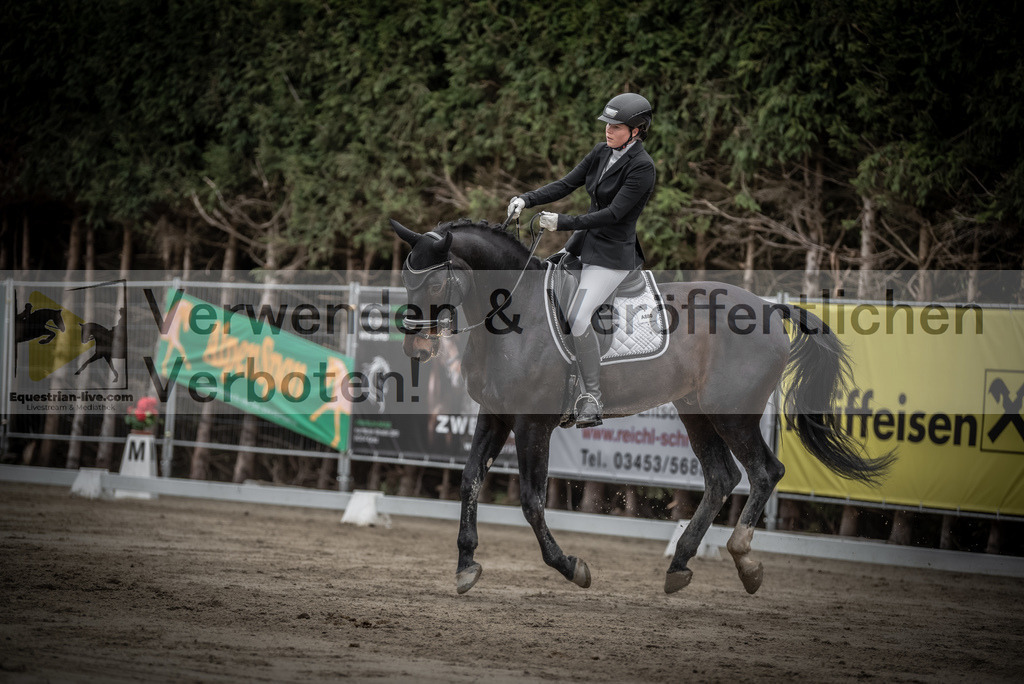 DSC_9300 | equestrian-live-com
