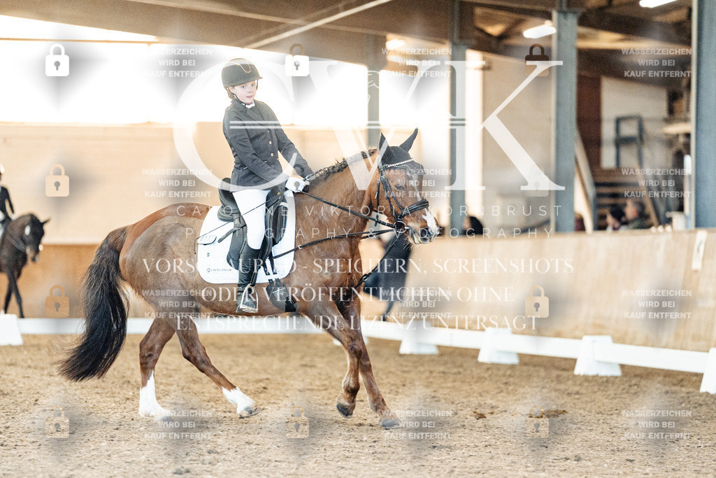 CK907074 | Turnierfotografie Pferdefotografie Trier Rheinland-Pfalz Pferdesport Reitsport Tierfotografie Sportfotografie Pferdevideo Pferdevideografie Equestrianvideography equestrianphotography  - Realisiert mit Pictrs.com