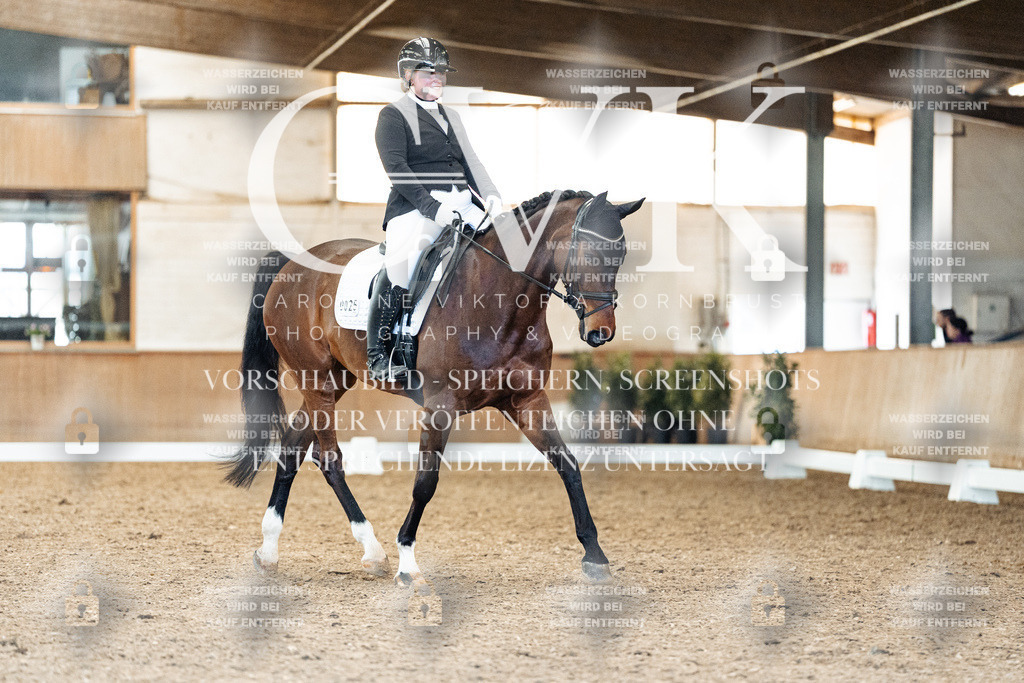 CK909351 | Turnierfotografie Pferdefotografie Trier Rheinland-Pfalz Pferdesport Reitsport Tierfotografie Sportfotografie Pferdevideo Pferdevideografie Equestrianvideography equestrianphotography  - Realisiert mit Pictrs.com