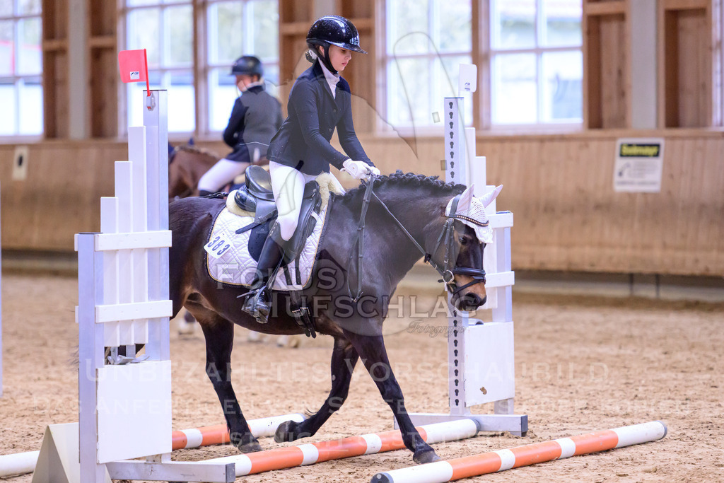 10042026-Mammendorf-Prfg20-0282 | Fokus Hufschlag Fotografie - Realisiert mit Pictrs.com