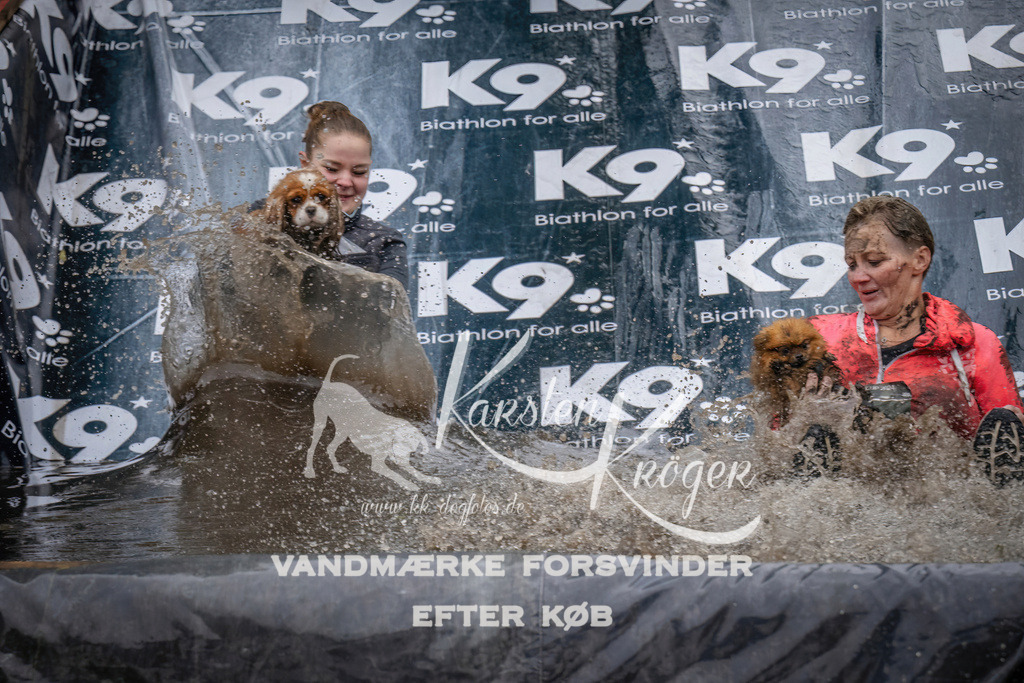 1248_ZZ90514 | kk-dogfotos