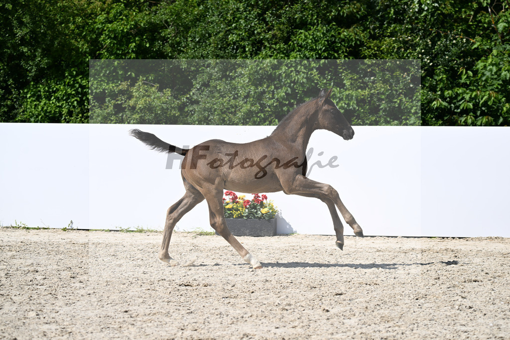 Sane x San Remo_HF_Leeser_13251686 | hf-fotografie - Realizzato con Pictrs.com