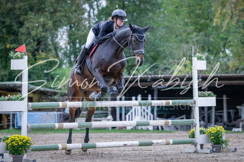 20251012-_3LI5113 | Tierfotografie Pferde, Hunde, Katzen, Haustiere.
Turnierfotografie Reitturniere, Reiten, Springreiten, Dressur in Hanau, dem Main-Kinzig-Kreis und dem Rhein-Main- Gebiet um Frankfurt
