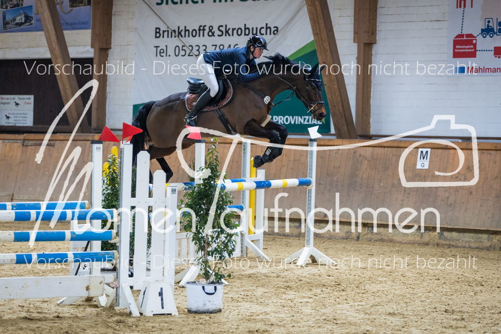 Sth-LPO25-L-Spr-021 | MomenTaufnahmen Pferdesportfotos