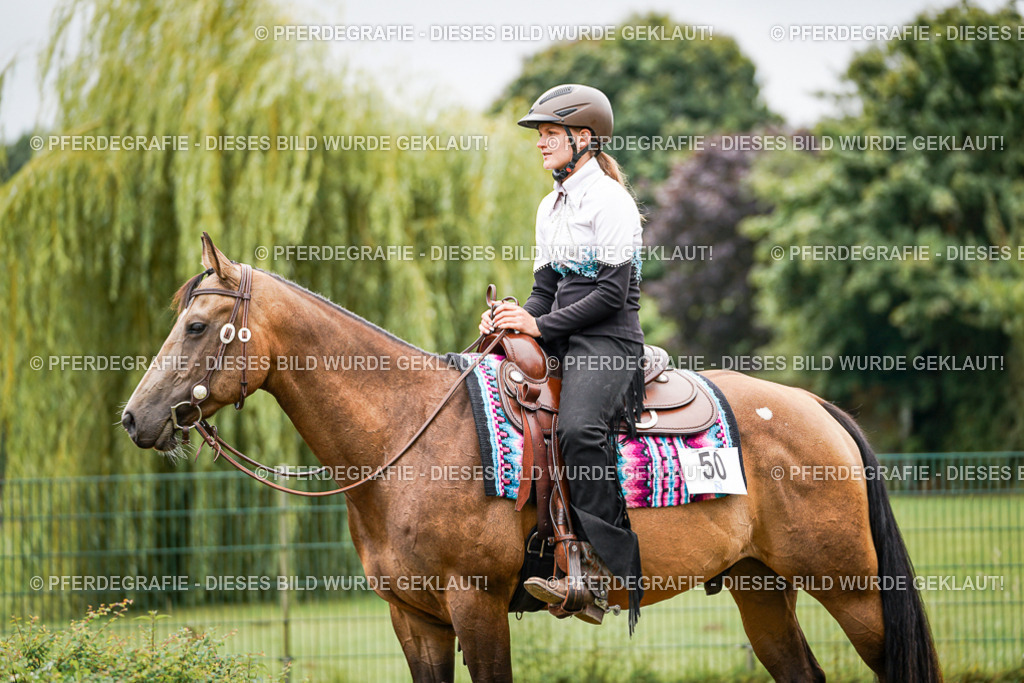 DSC04113 | Pferdegrafie