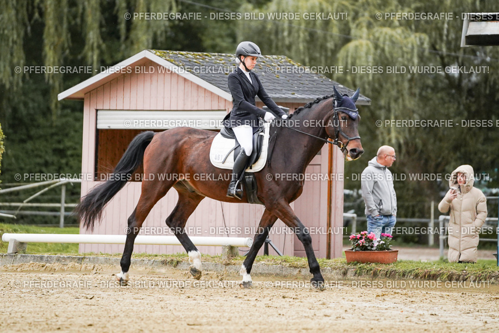 DSC06315 | Pferdegrafie