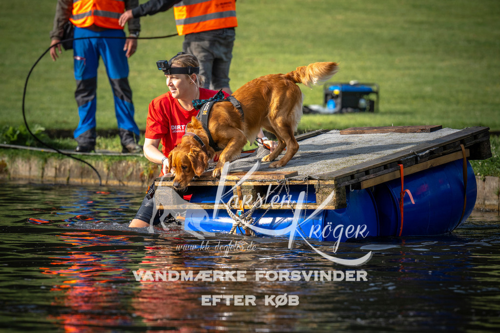 _ZZ941150712 | kk-dogfotos