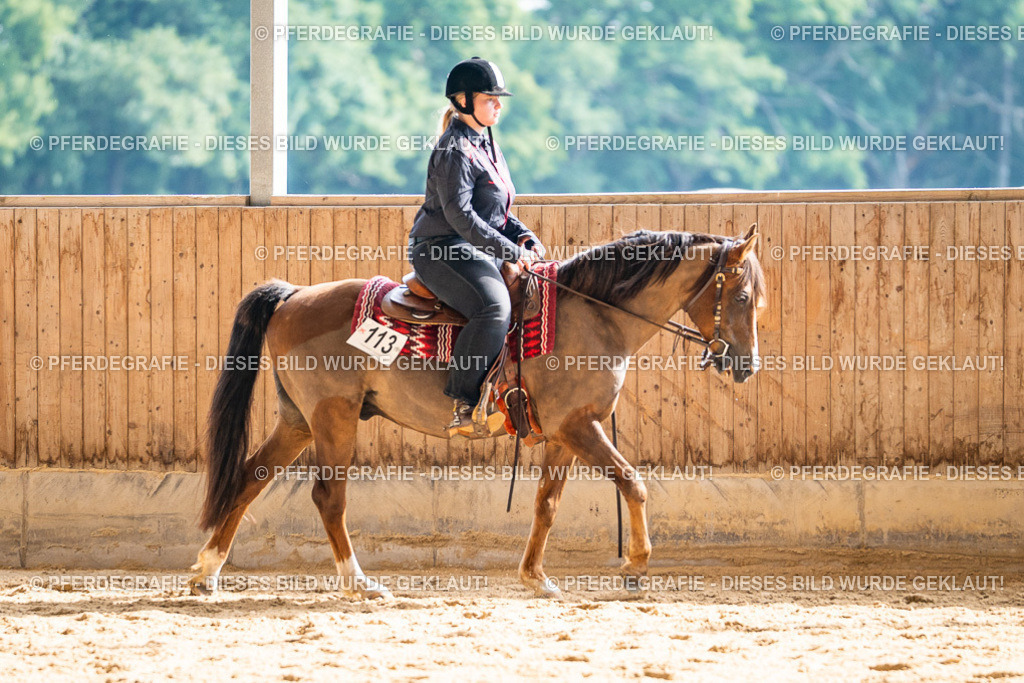 DSC08493 | Pferdegrafie