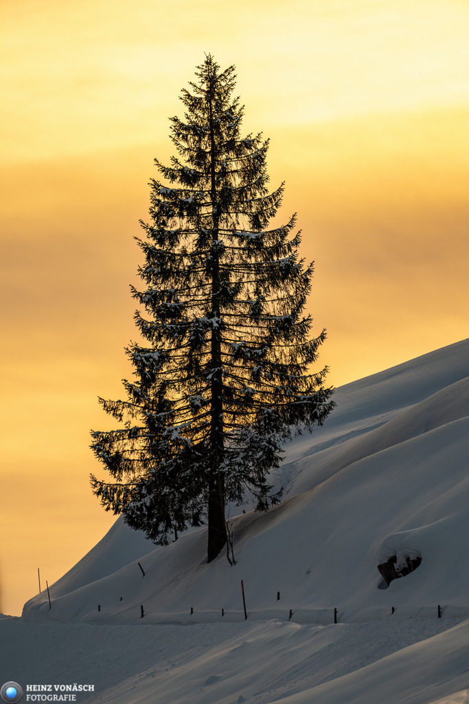 Landschaften_0019 | Alle Bilder von Heinz Vonäsch Fotografie können alle zu günstigen Preisen gekauft werden! Download der Bilder, Ausdrucke, Postkarten, Tassen T-Shirts, Kalender, Alu- Dibond usw. - Realisiert mit Pictrs.com