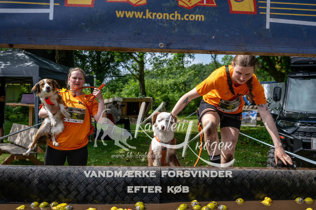 1132_ZZ94536 | kk-dogfotos
