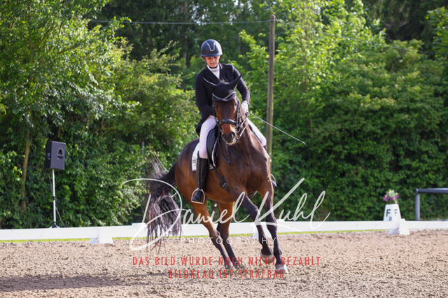DKP41659 | Deine Turnierfotos vom Reitturnier online kaufen: Dressur, Springen & Siegerehrung. Professionelle Pferdefotografie aus dem Rheinland – als Download & Print.Alternative: Turnierfotograf für den Pferdesport: Finde deine Fotos von Dressur- und Springturnier